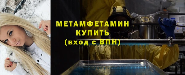 прущие грибы Мегион