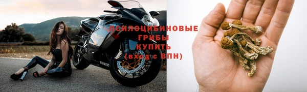 прущие грибы Мегион