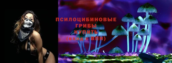 ALPHA PVP Медвежьегорск