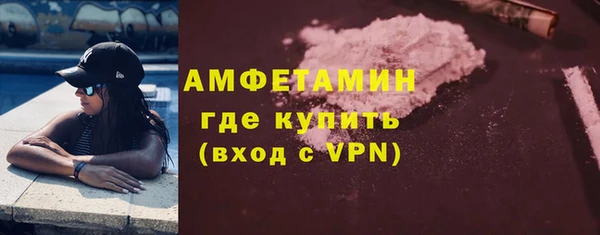 прущие грибы Мегион