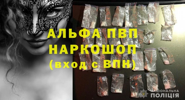 прущие грибы Мегион