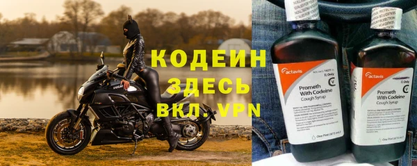 прущие грибы Мегион