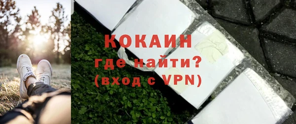 прущие грибы Инта