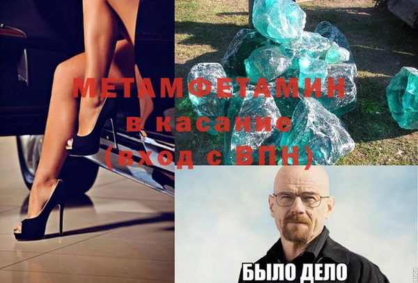 прущие грибы Мегион