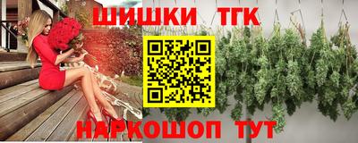 крисы Аргун