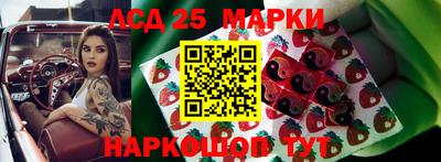 крисы Аргун