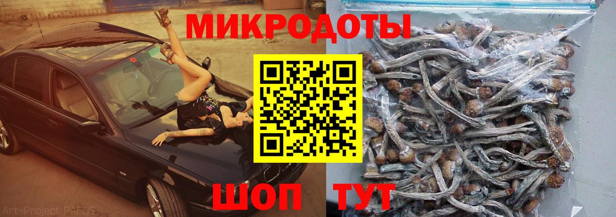 Псилоцибиновые грибы мицелий  Галлюциногенные грибы прущие грибы  Ачинск 